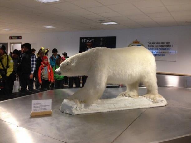 kutup ayısı - Havaalanı şehrin tüm seyahat sembolü karşılar.