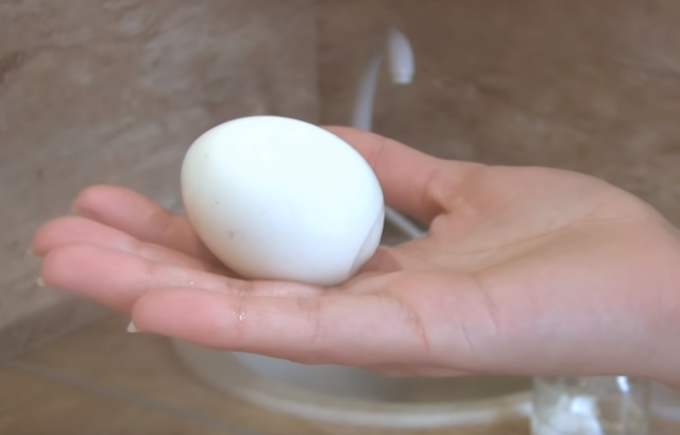 Herkes bir yumurta mükemmel Gorny yemek istiyor! / Fotoğraf Kaynak: youtube.com/channel/UCagplR5T275T6em4AQOYNbQ