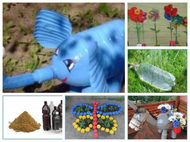 Fotoğrafları ile plastik şişelerden kendi elleriyle bahçe, avlu, bahçe için El Sanatları