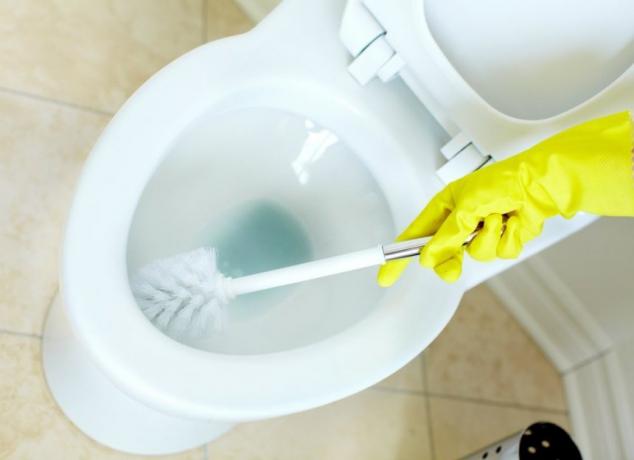 Tuvaletinizi tornavidayla nasıl temizlersiniz?