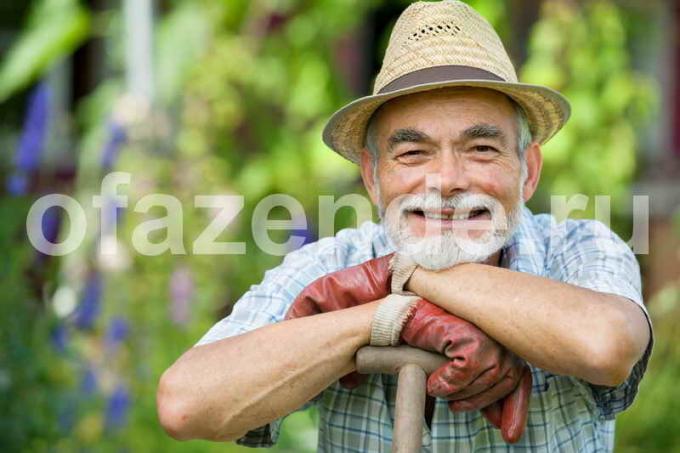 Bahçıvanlara İşaretler. bir makale için İllüstrasyon standart lisans © ofazende.ru için kullanılır