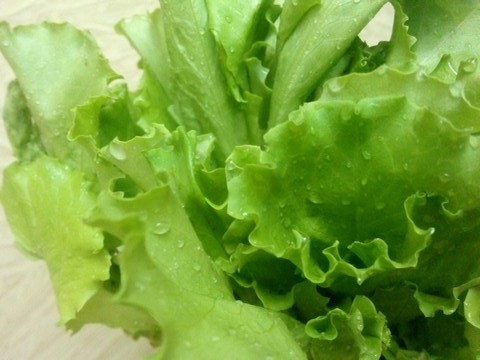 Salatayı buzdolabında saklamadan önce, üzerinde en küçük su damlasının bile kalmadığından emin olun.