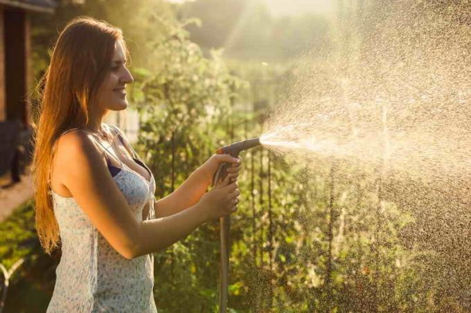 Kadın sebze sulama. bir makale için İllüstrasyon standart lisans © ofazende.ru için kullanılır