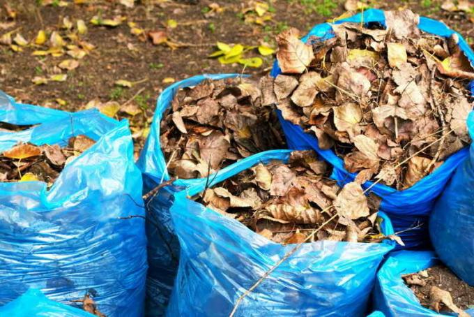dökülmüş yaprakların torbalarda Kompost. bir makale için İllüstrasyon standart lisans © ofazende.ru için kullanılır