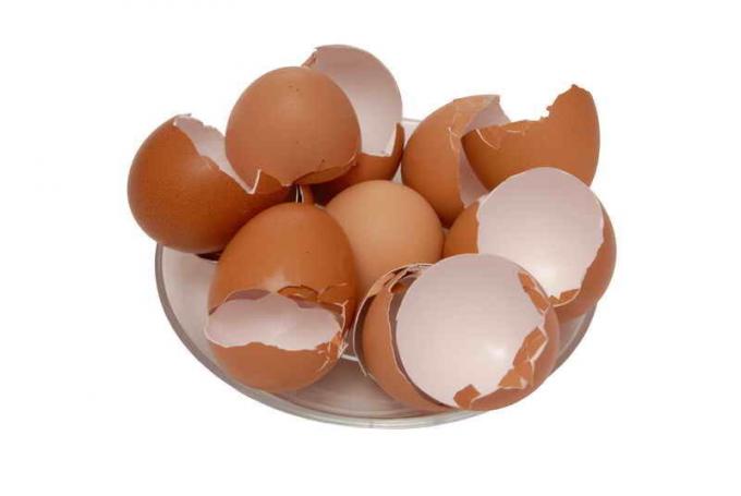 Yumurta kabuğu bir üst olarak domates sosu. bir makale için İllüstrasyon standart lisans © ofazende.ru için kullanılır