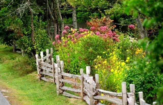 Rustik bahçe: çok uğraşmadan iyi ve güzellik