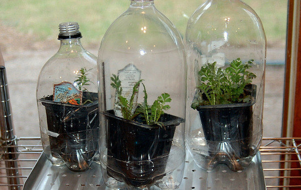 görüntüle: http://www.agfoundation.org/images/uploads/_660w/greenhouse_bottles.jpg