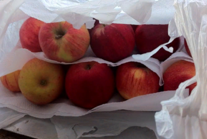 Evde kış için taze elma tutmak için nasıl