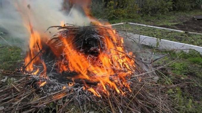 Yasa ile ilgili sorunlar yaşamaya değil ülkesinin yapmaması gereken 7 şey,