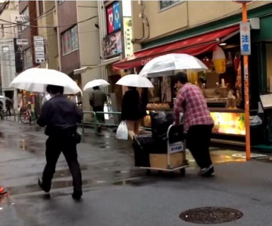 Şeffaf şemsiye Japonya'da çok popülerdir.