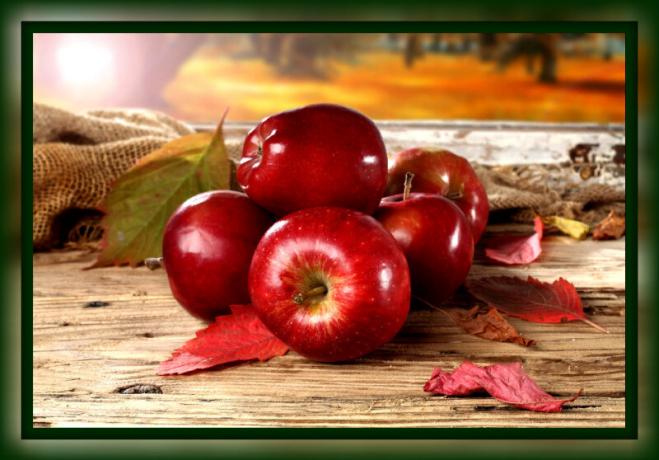 Evde kış için taze elma tutmak için nasıl