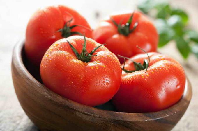 Hasat domates. bir makale için İllüstrasyon standart lisans © ofazende.ru için kullanılır